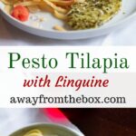 Pesto tilapia is quick and easy to prepare, with tastes of basil and tomato. It's the perfect weeknight dinner.