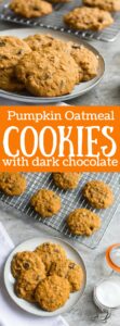 Pumpkin Oatmeal Cookies with Dark Chocolate and Sea Salt are the best way to celebrate the fall baking season. Enjoy with a nice cup of coffee and a comfy blanket.